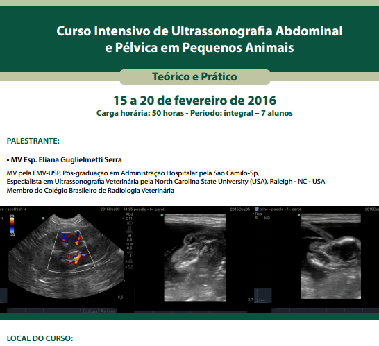 Curso Intensivo de Ultrassonografia Abdominal e Pélvica em Pequenos Animais (teórico- prático)