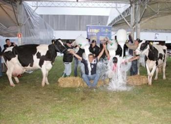 Banho celebra as campeãs da Expoleite/Fenasul