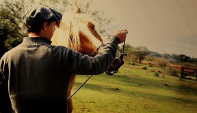 A campanha “Meu trabalho tem valor” ganhou a adesão do veterinário Paulo Gonçalves Júnior